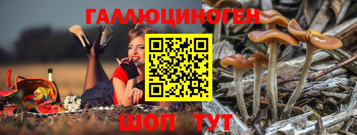 Железногорск  Псилоцибиновые грибы мицелий  Вход с VPN 